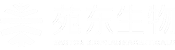 AG旗舰厅
